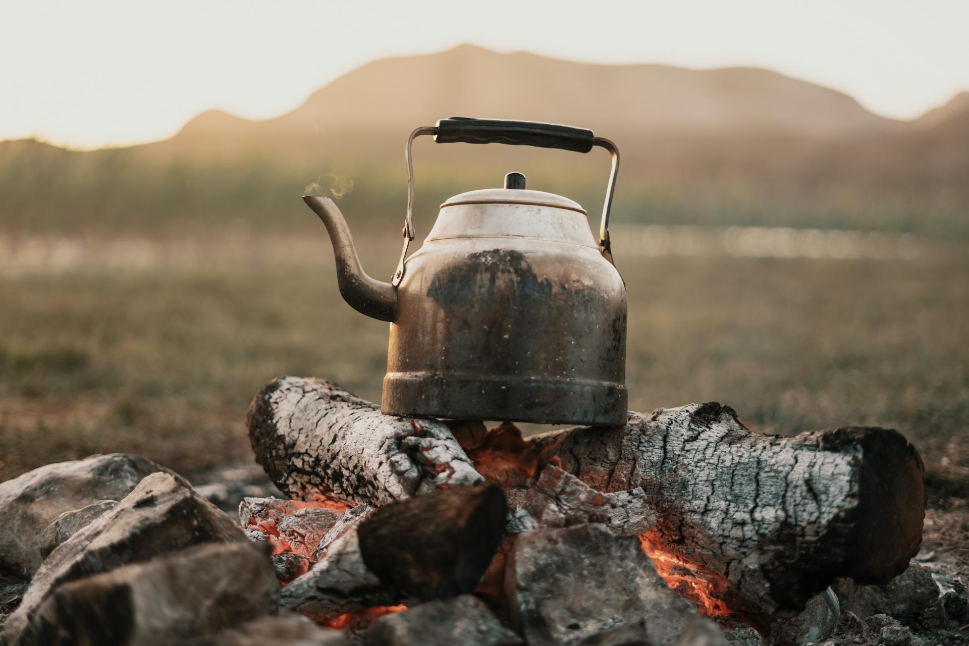 Tea and nature scene